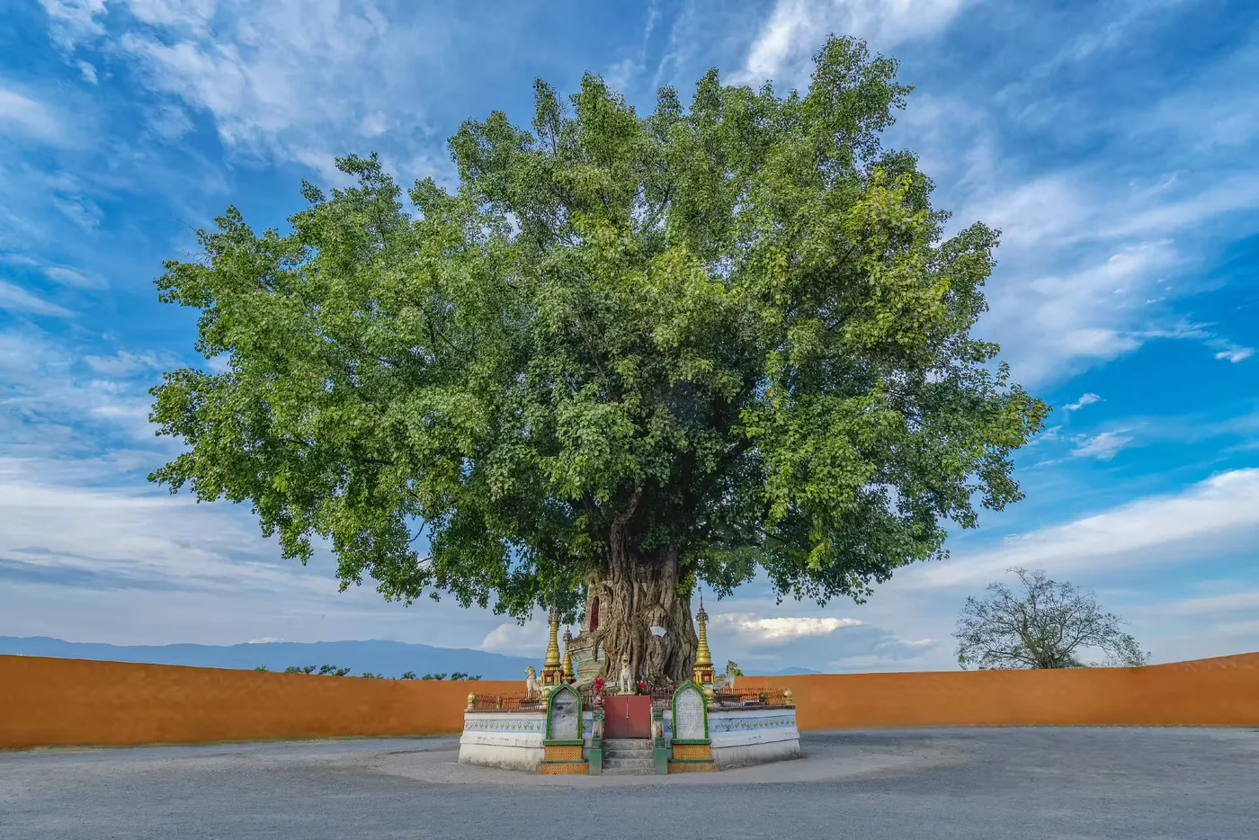 勐焕大金塔风景图片