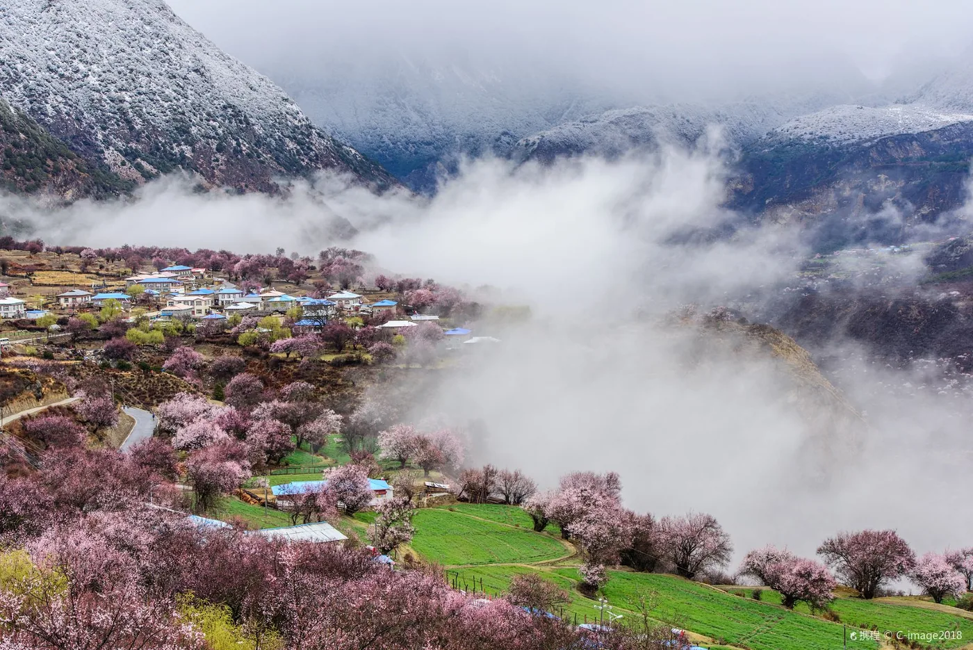 嘎拉桃花村风景图片