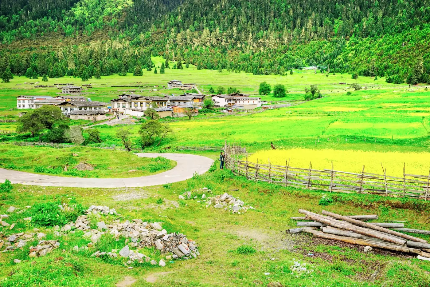 扎西岗村实景图片