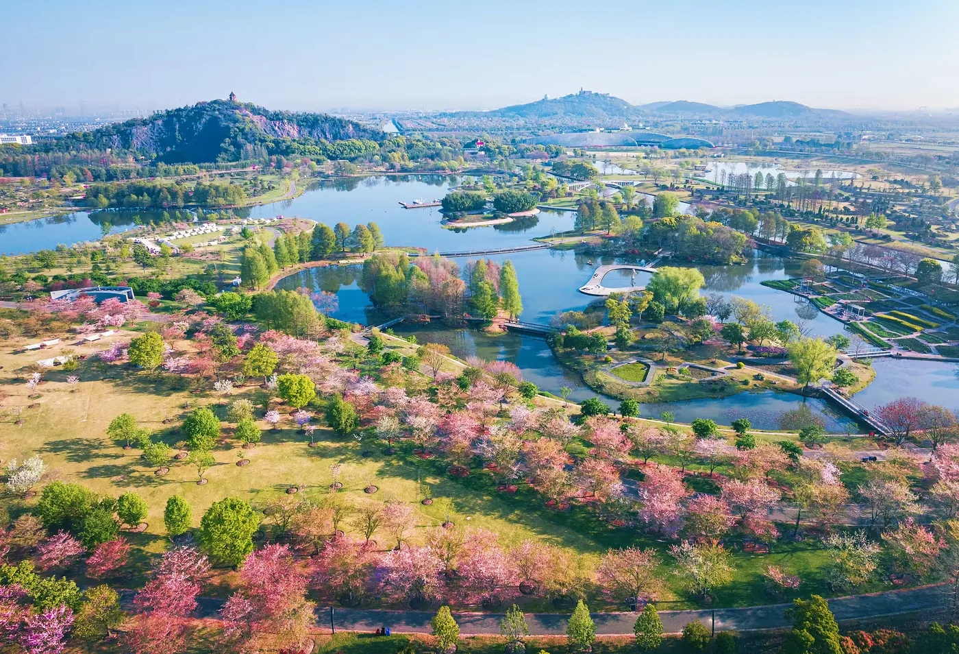 上海辰山植物园风景图片