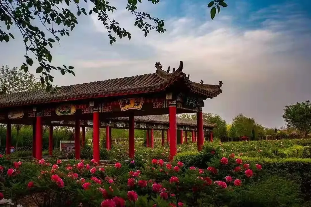 汉牡丹园风景图片