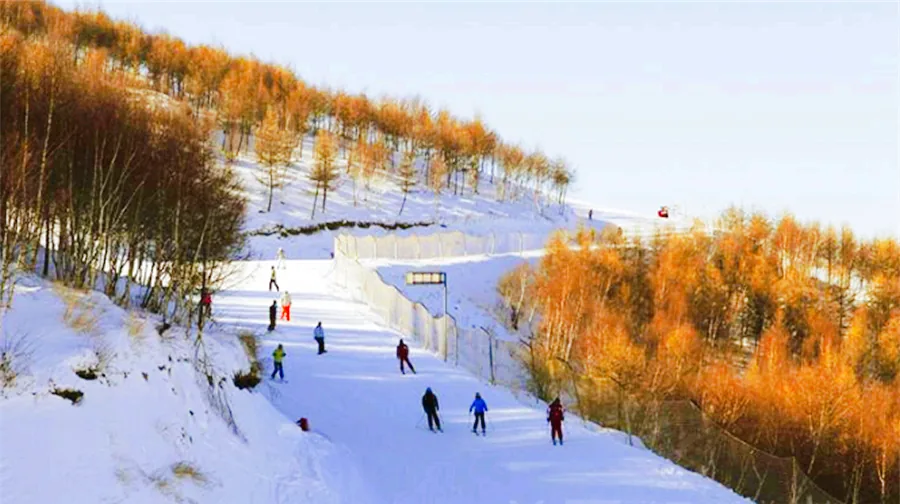 敖其湾滑雪场风景图片