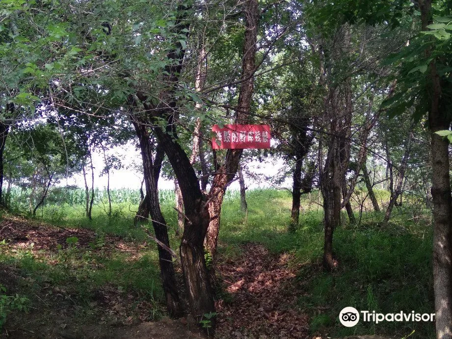 吉兴河水库风景图片