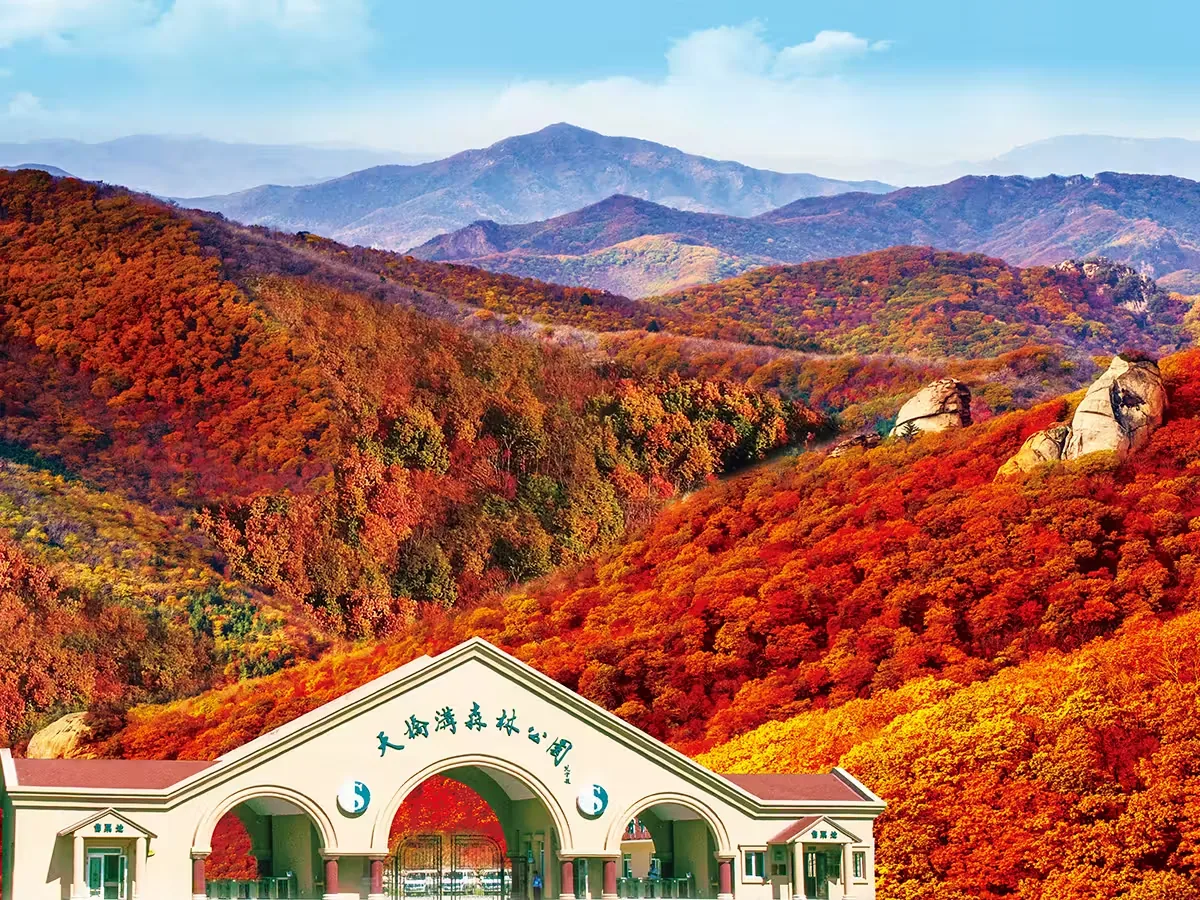 花脖山风景图片