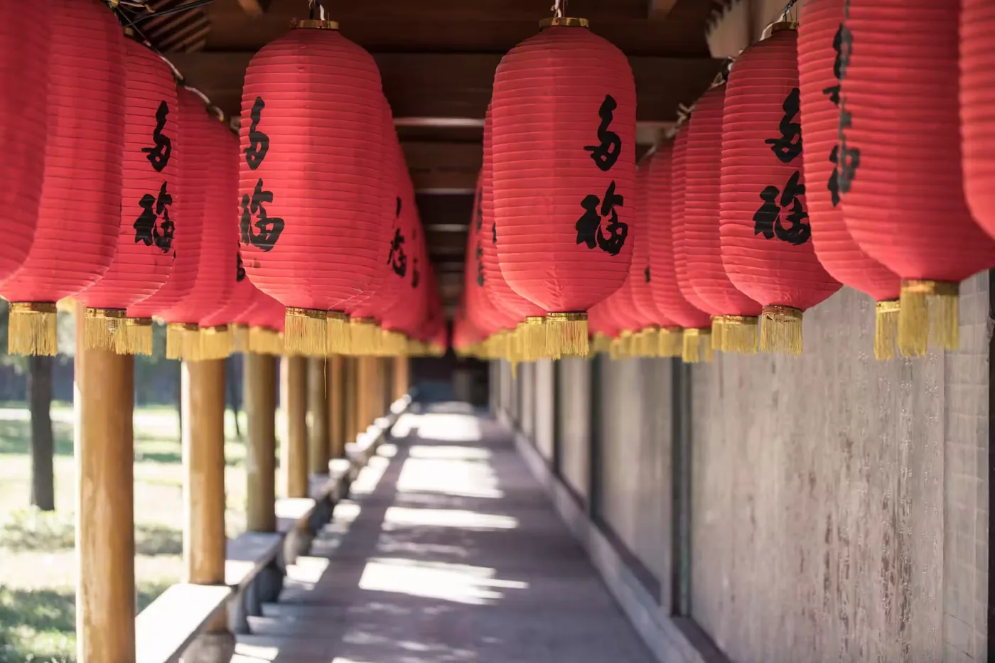 阜新朝阳寺古建筑实景图片