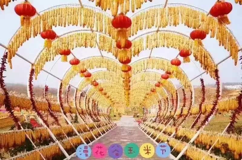 葛西河生态走廊风景图片