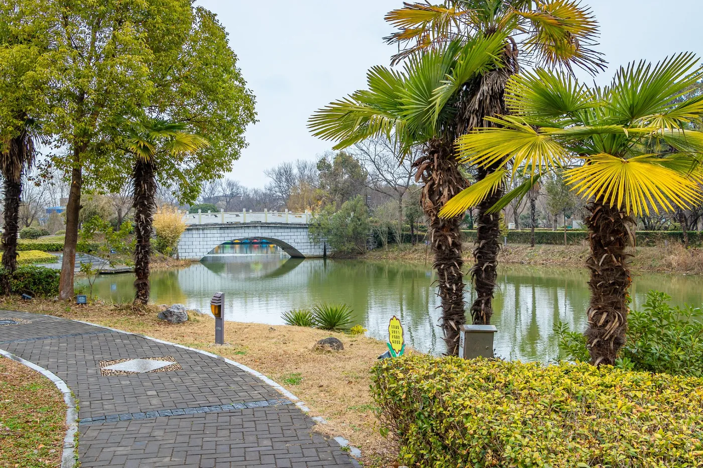 凤凰山公园实景图片