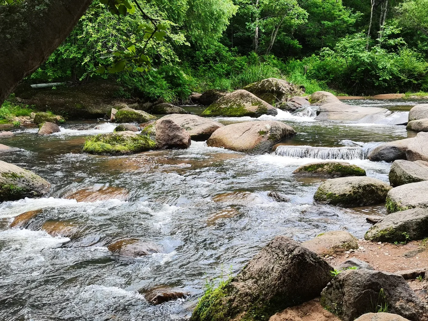 三道关国家森林公园风景图片