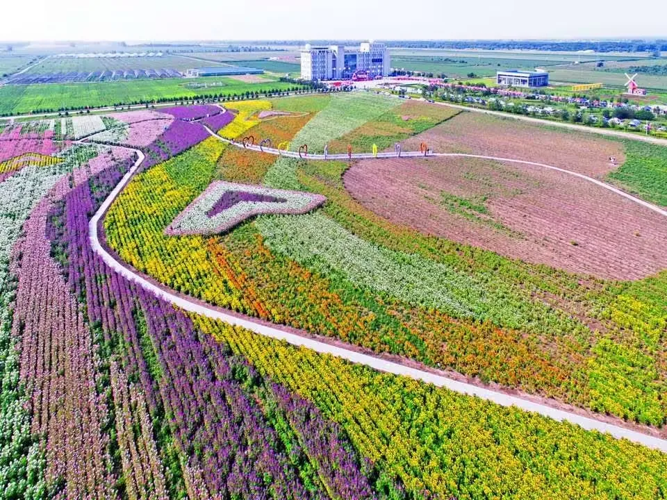 宝泉岭生态园实景图片