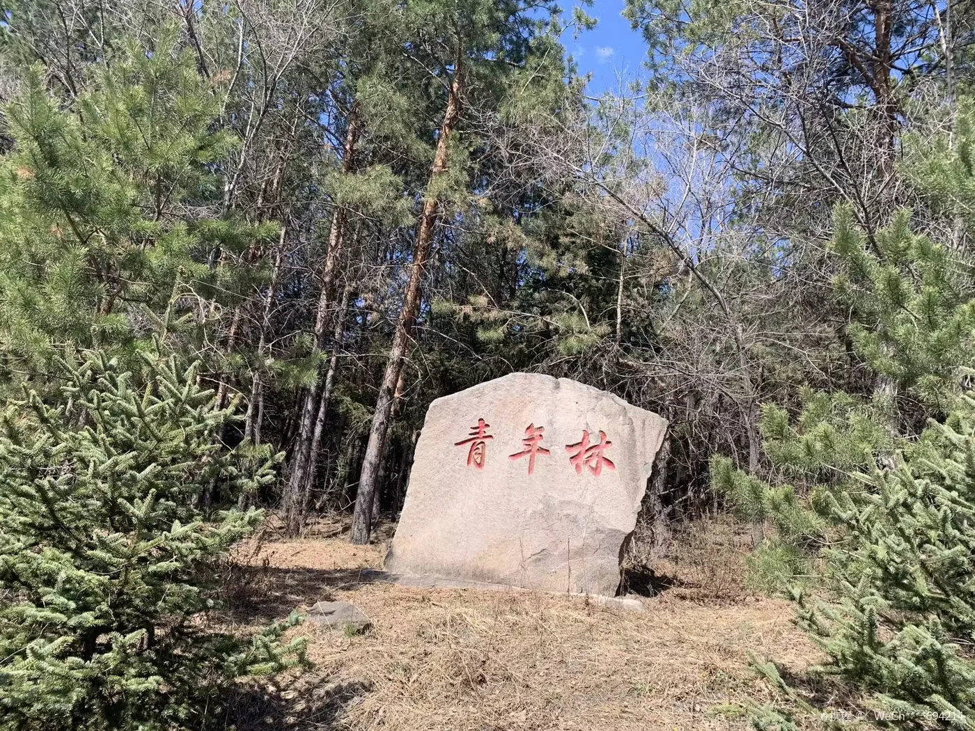 益寿山公园实景图片