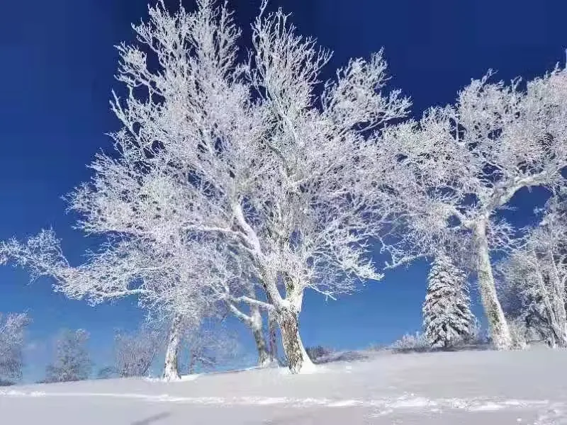 大秃顶子山