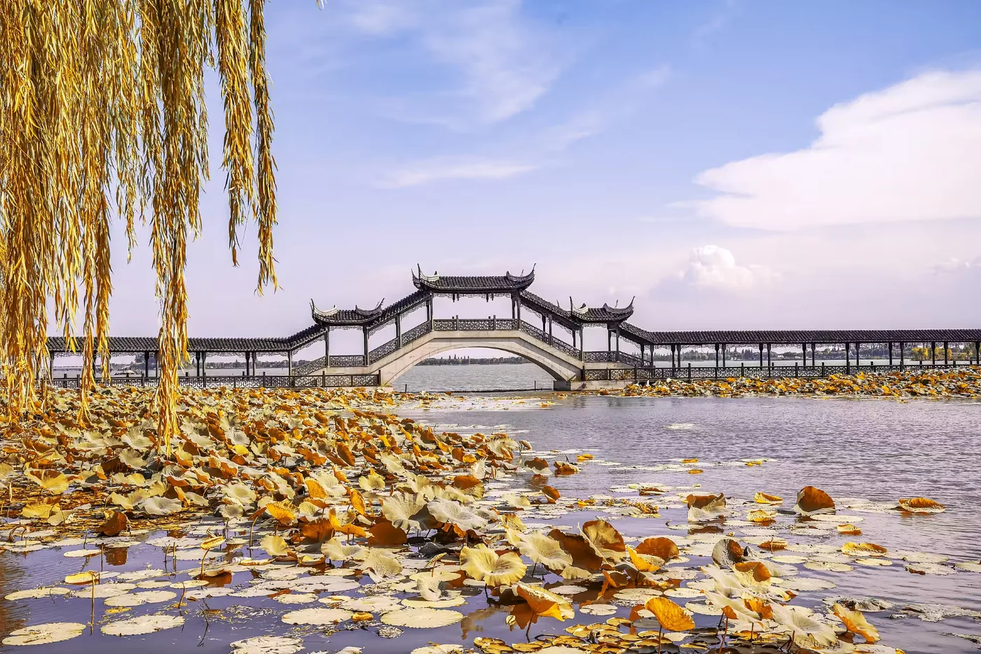 锦溪古镇实景图片