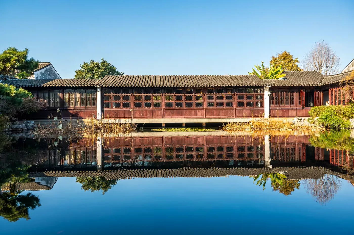 艺圃