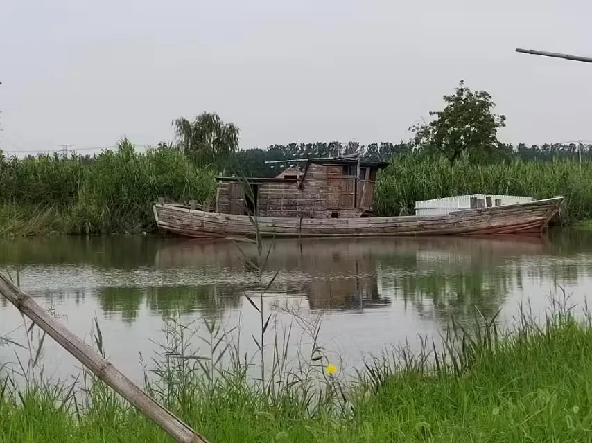 赣榆青口潜园实景图片