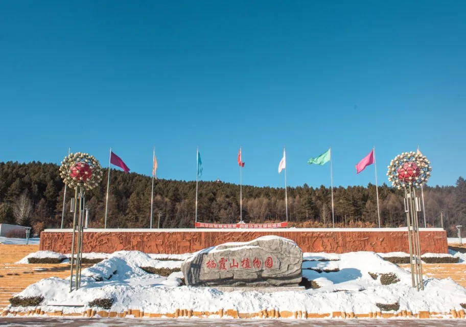栖霞山植物园实景图片