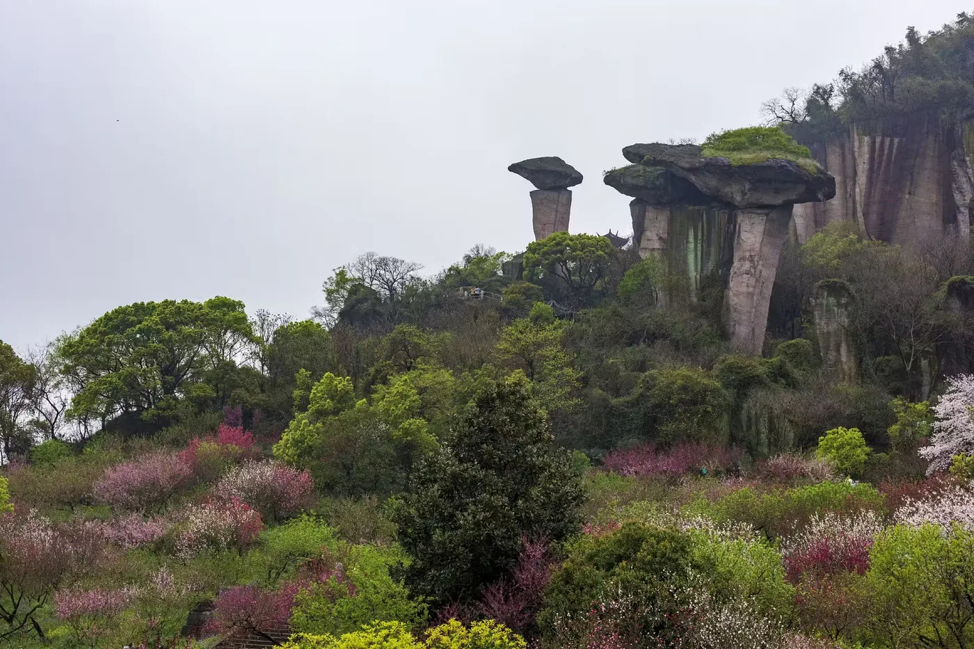 吼山风景区
