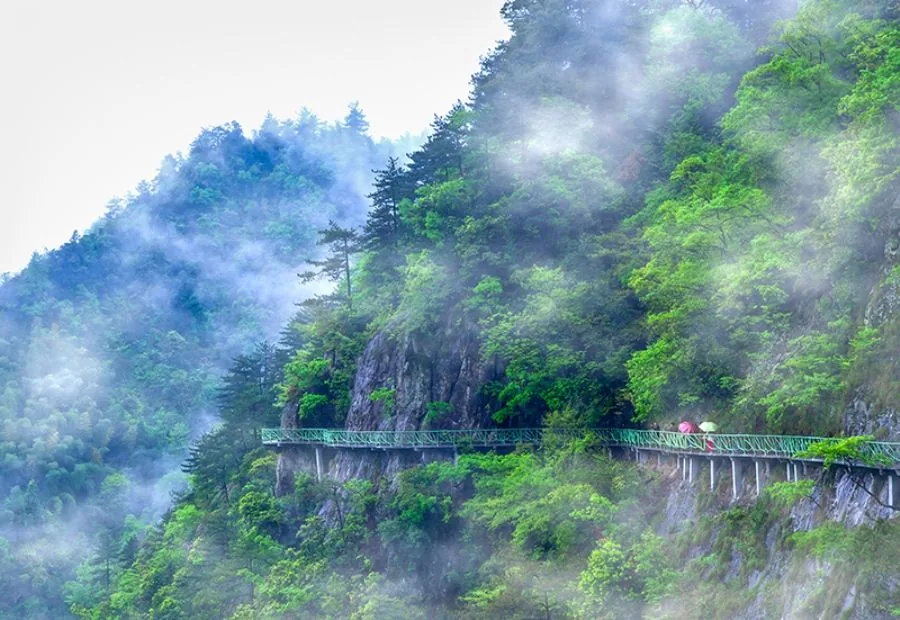 灵江源森林公园风景图片