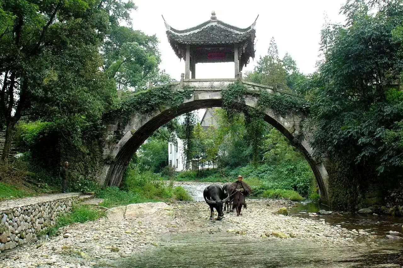 郭洞古生态村实景图片