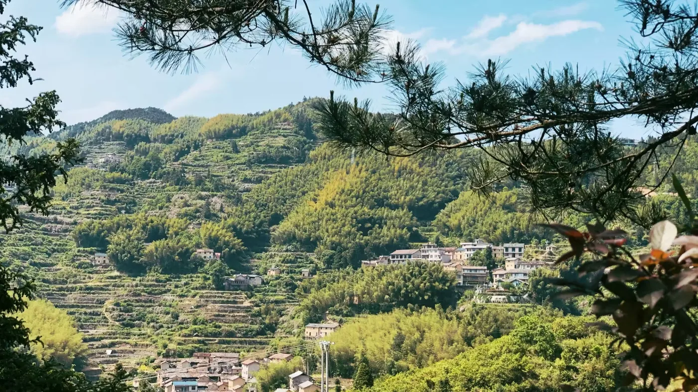 西坑村