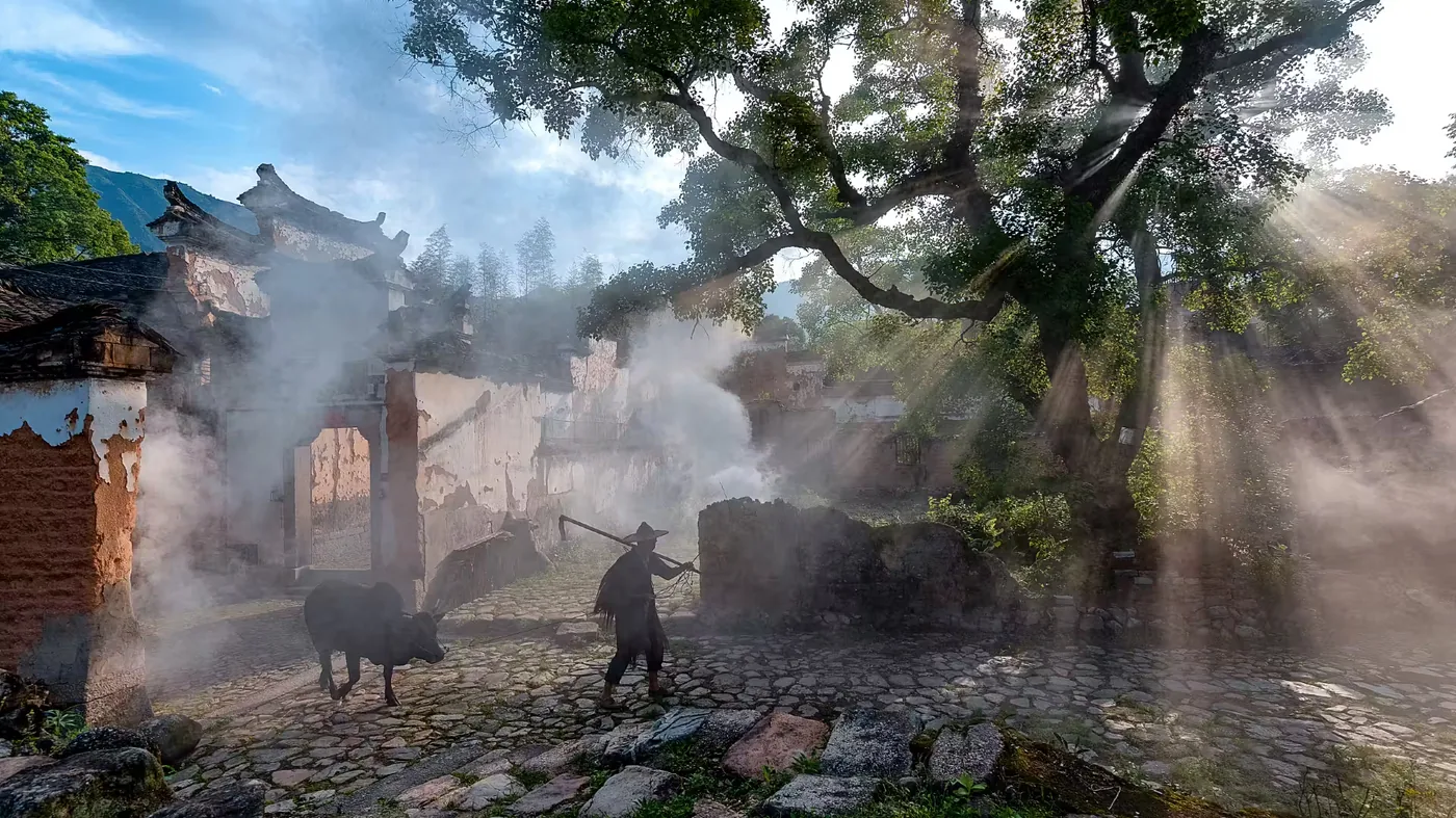 西坑村风景图片
