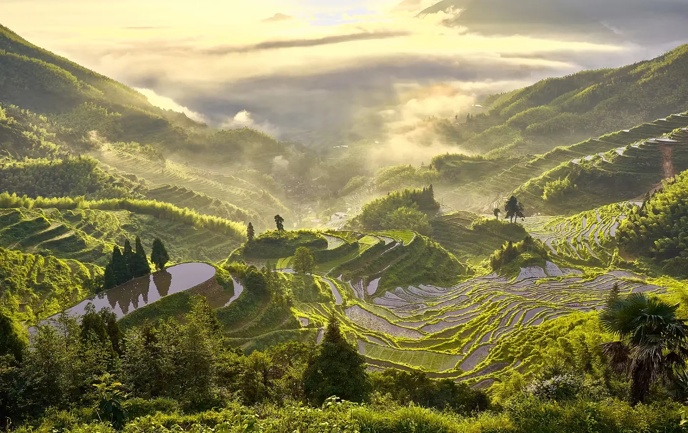 丽水市博物馆风景图片