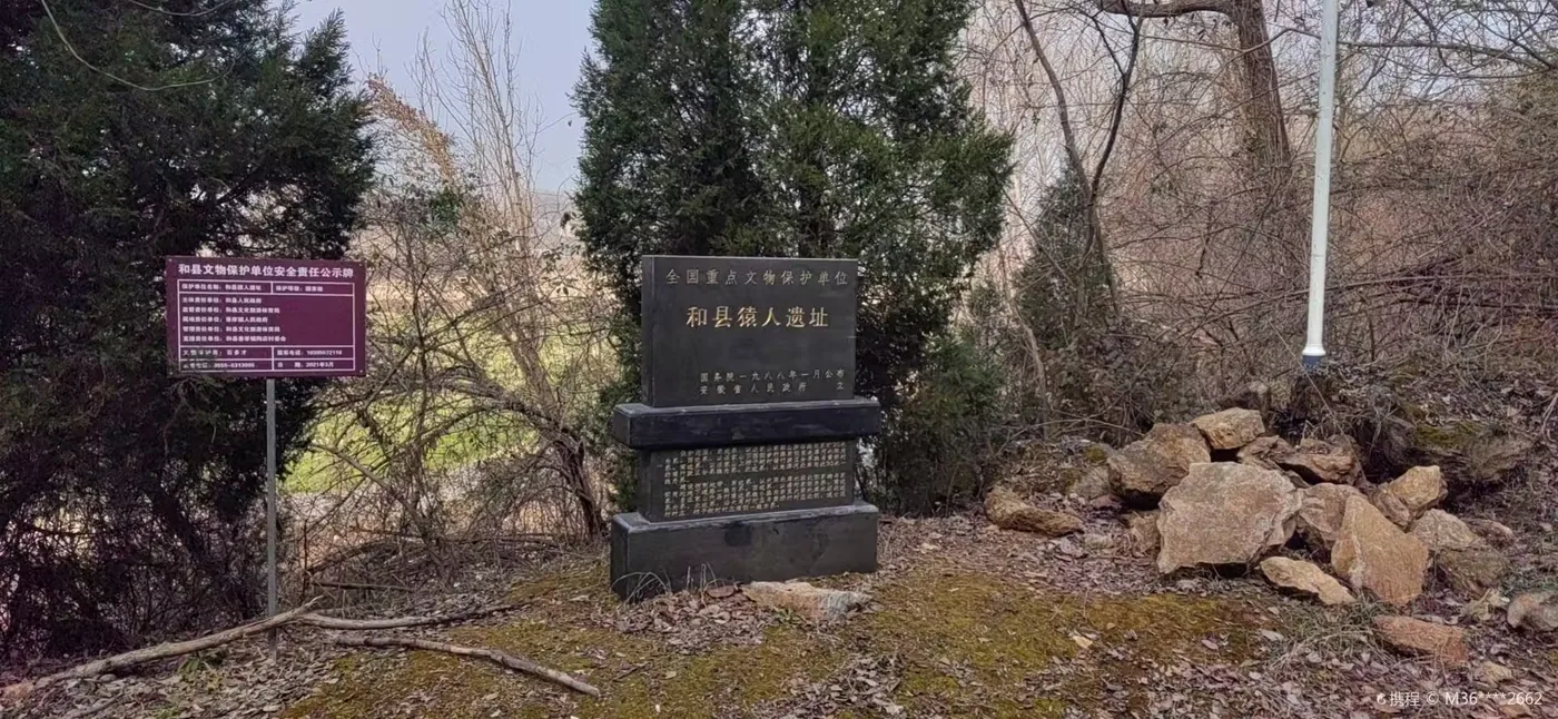和县猿人遗址