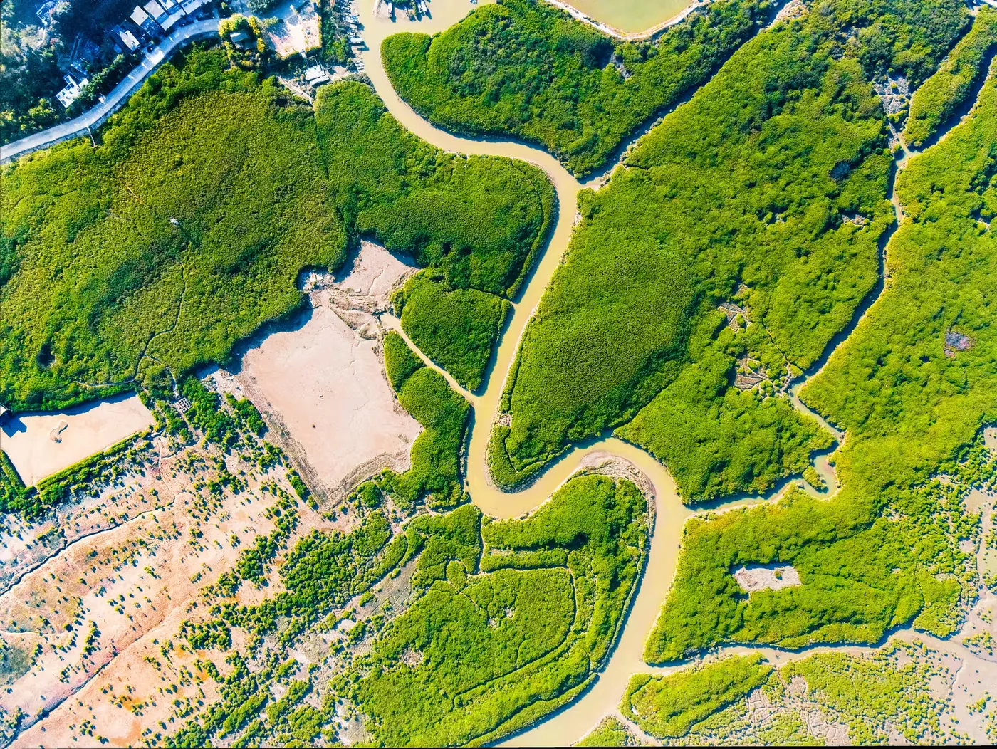漳江口红树林国家级自然保护区