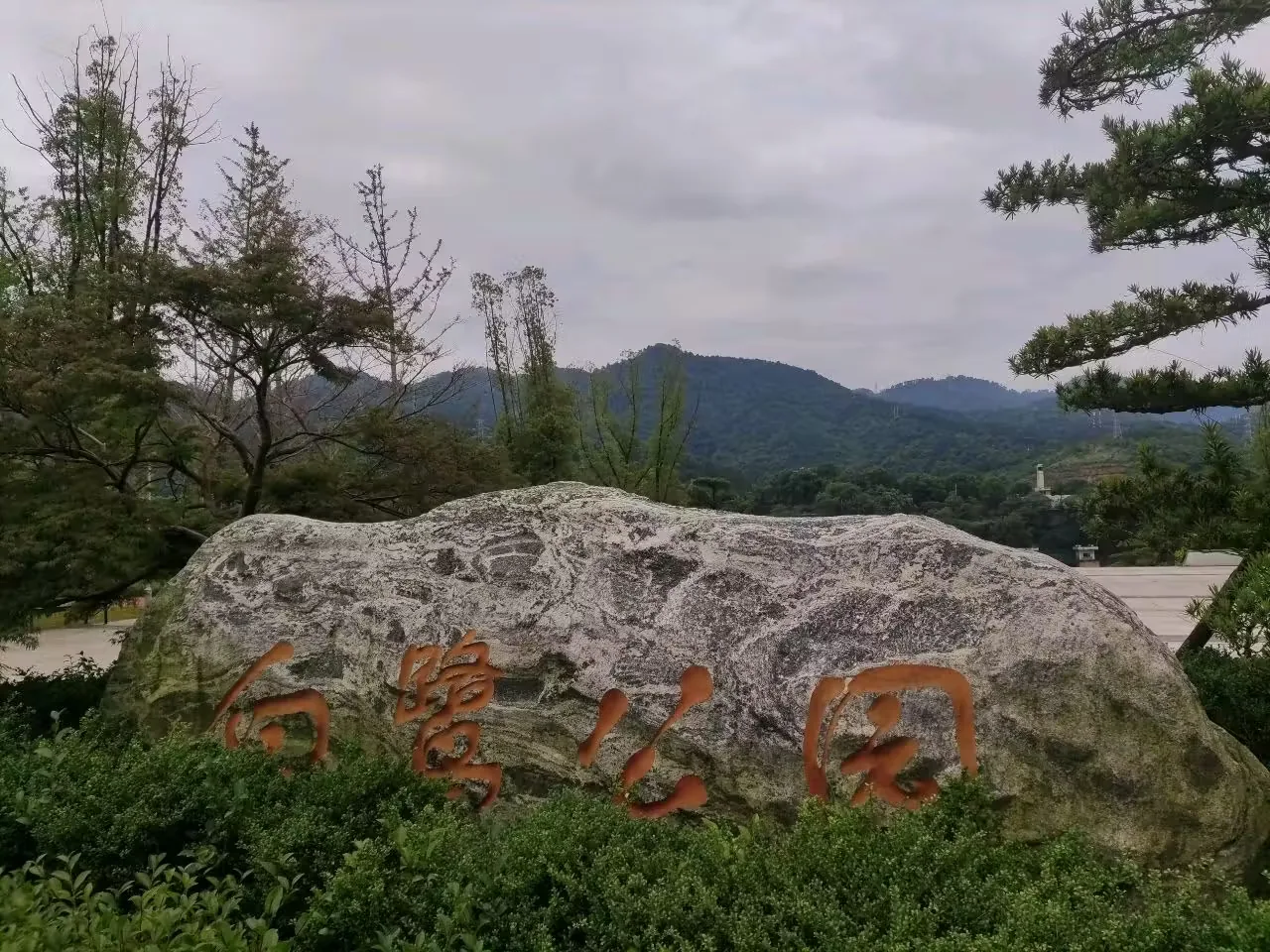景德镇白鹭公园