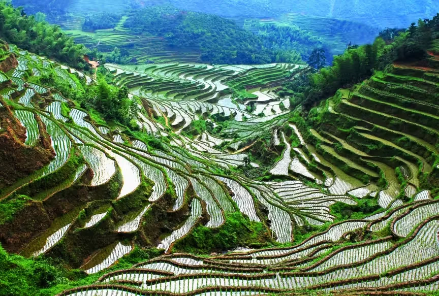 桃源梯田景区