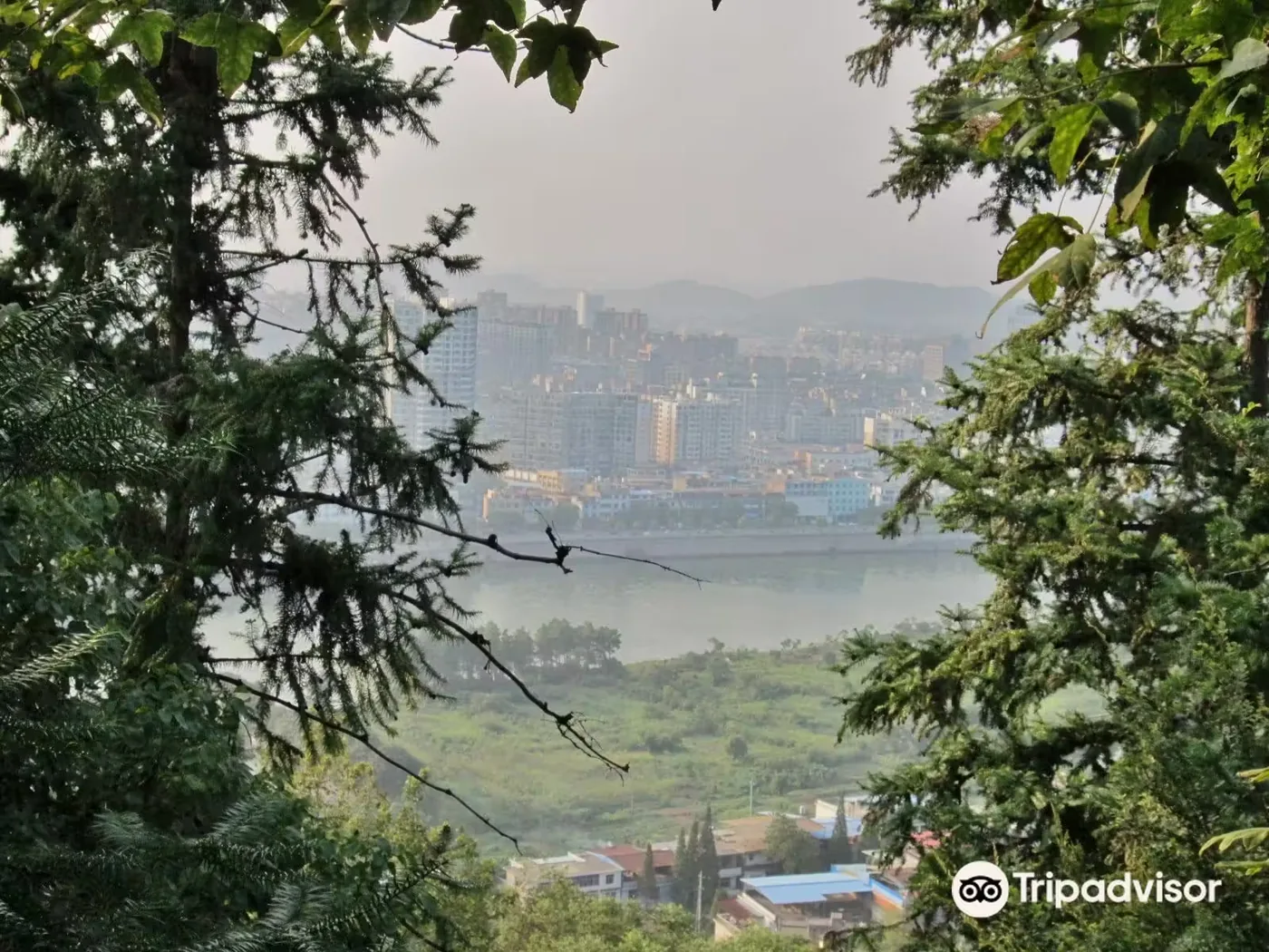 云碧峰国家森林公园风景图片