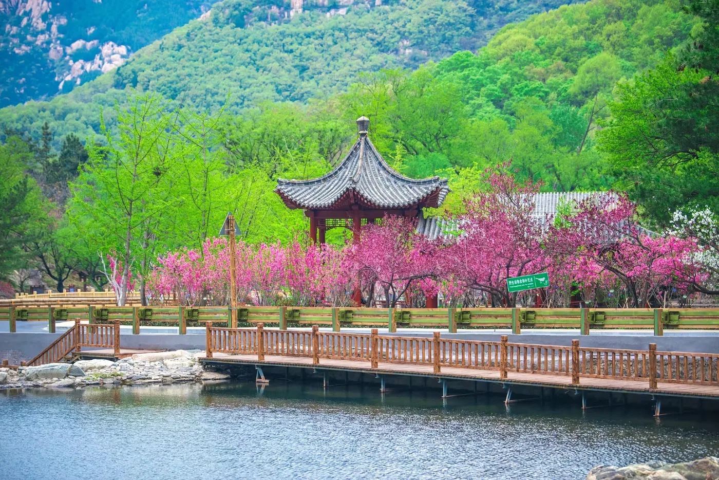 桃花峪景区