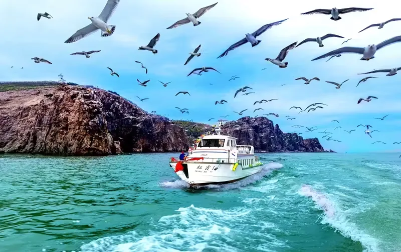 海驴岛