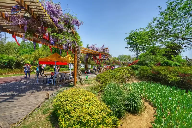 日照植物园