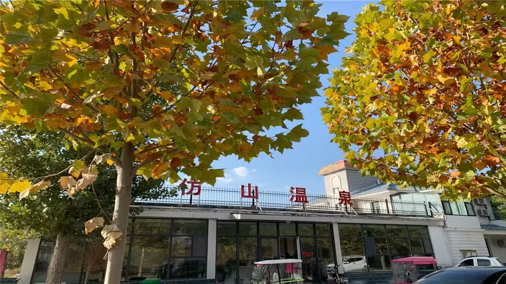 成武县博物馆风景图片