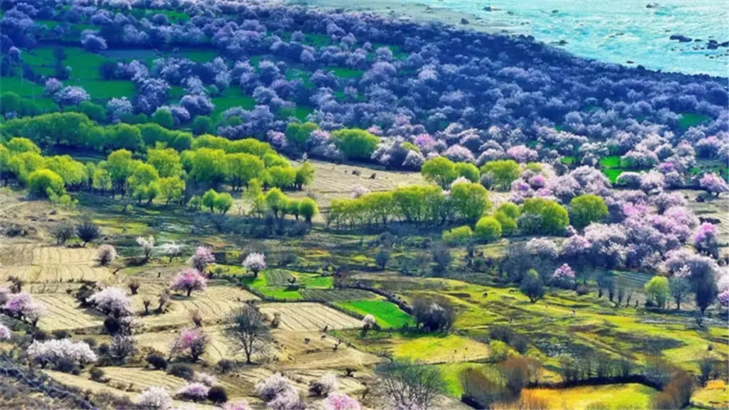 黛眉山