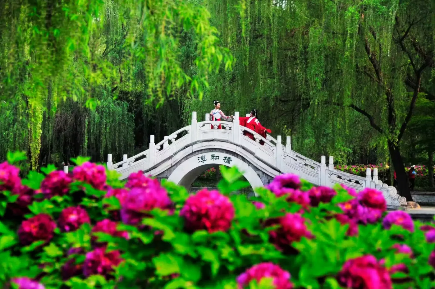 洛阳隋唐城遗址植物园