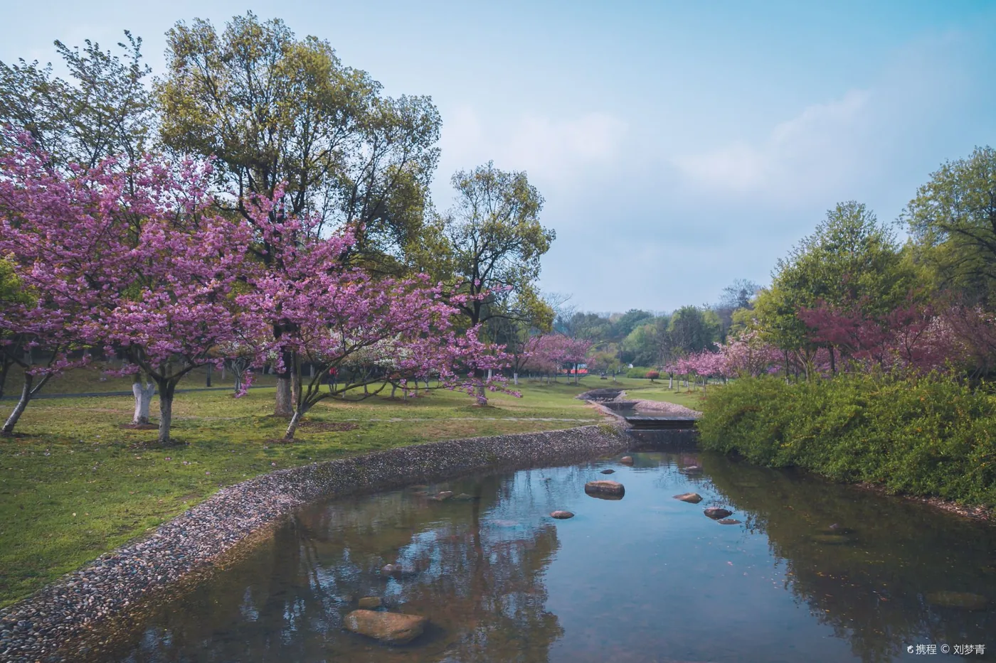 龙背山森林公园风景图片