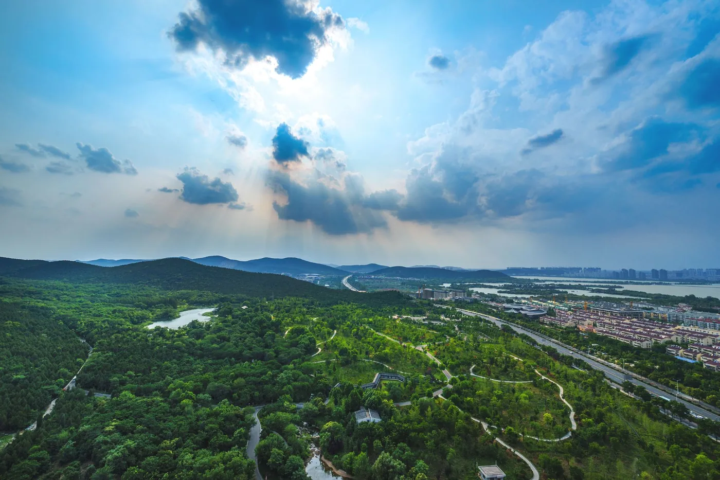 泉山森林公园实景图片
