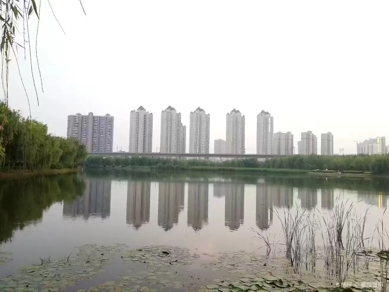 孝南区仙女湖