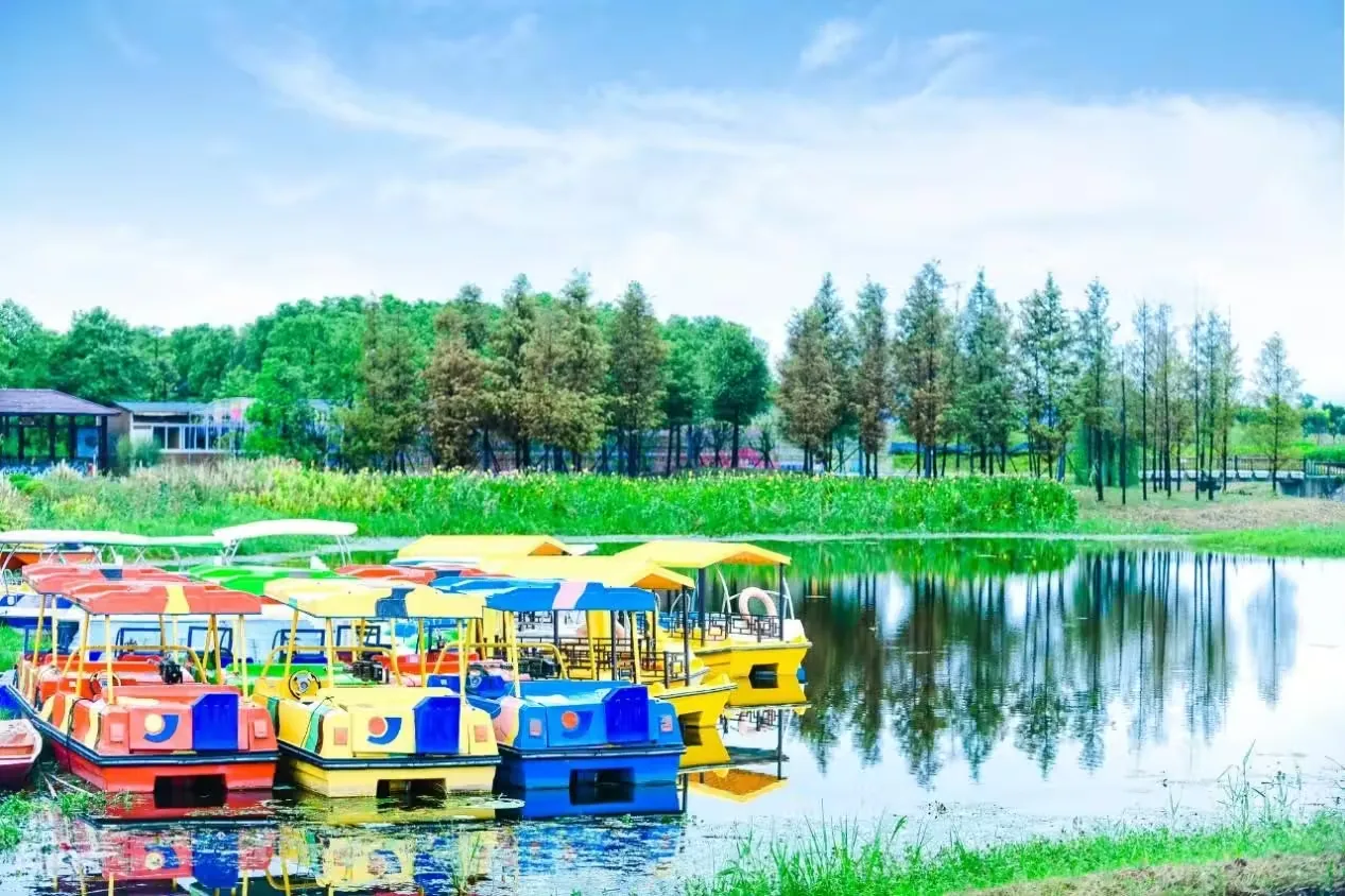 洪湖湿地生态旅游区风景图片