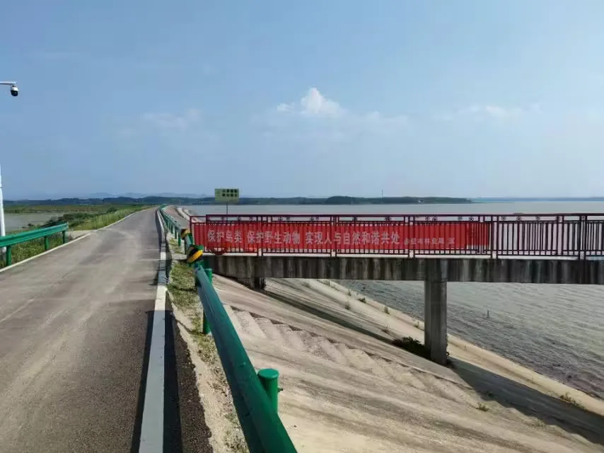 黄盖湖风景图片
