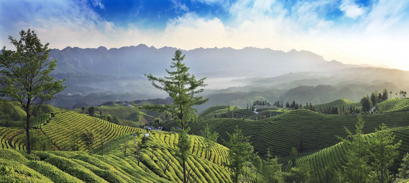 木耳山风景图片
