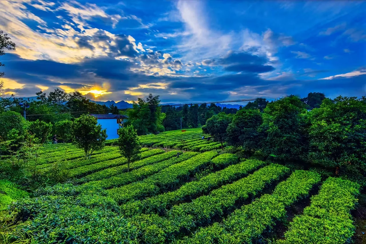 枫香坡侗族风情寨实景图片