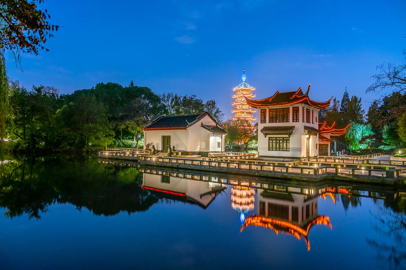 红梅公园实景图片