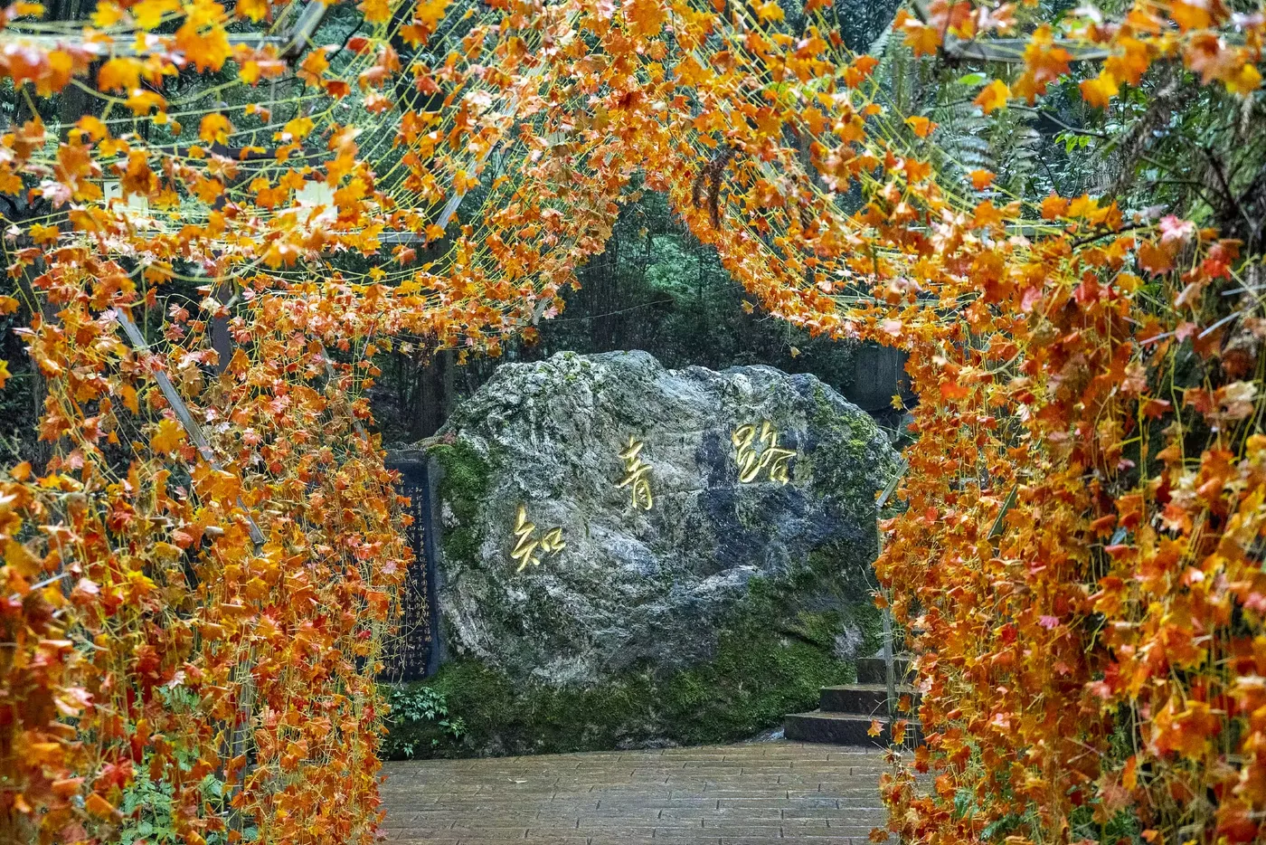 法相岩