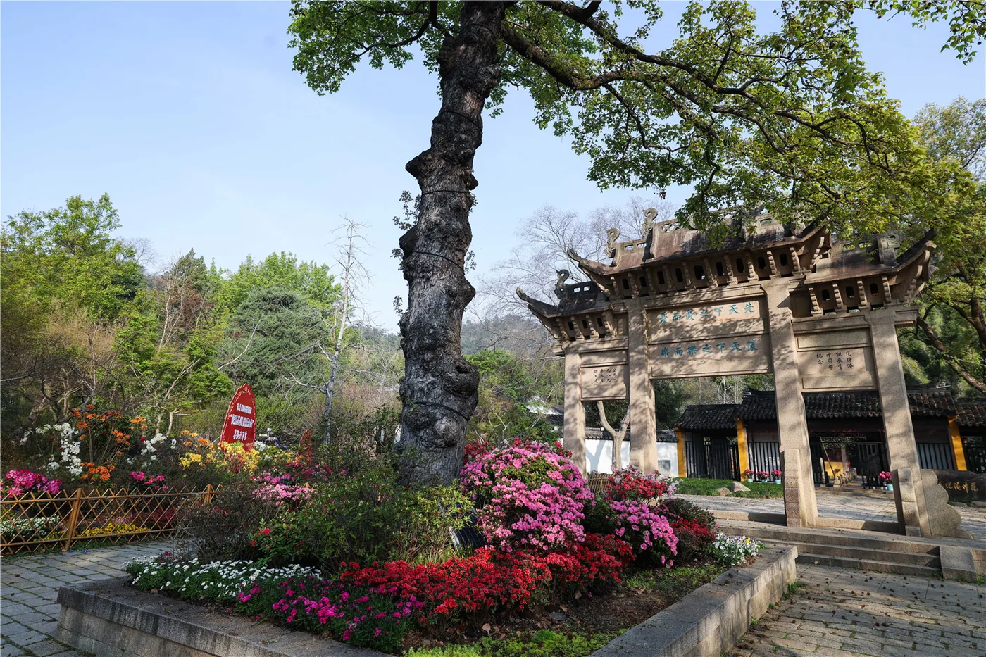 天平山秋日红枫实景图片