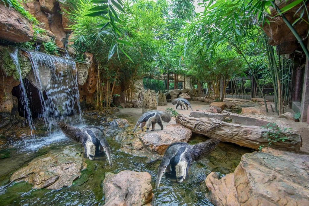 长鹿旅游休博园风景图片