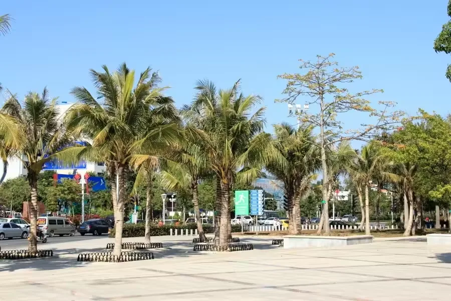 南国风筝竞技场实景图片