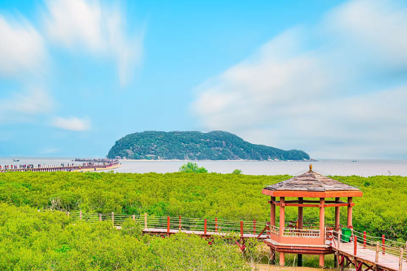 海陵岛红树林湿地公园
