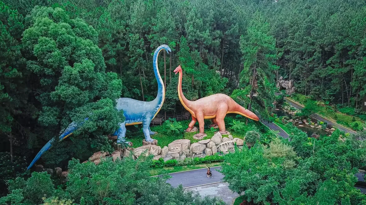 森波拉度假森林风景图片